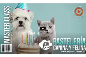 pastelería canina y felina-alimentación diaria-recetas-tortas-adiestramiento canino-galletas-ingredientes-cursos presenciales-nutrición canina